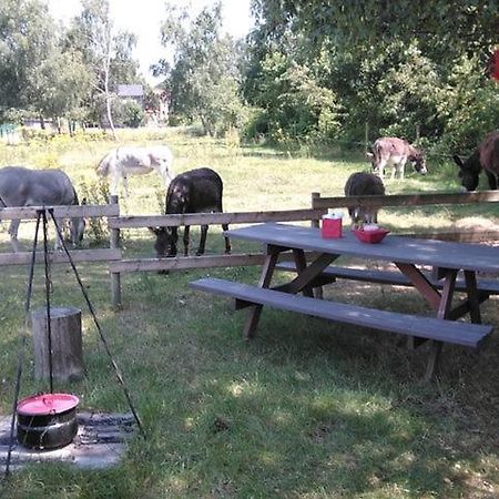 De Balkende Hoeve Aarschot Ngoại thất bức ảnh